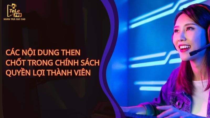 Các nội dung then chốt trong chính sách quyền lợi thành viên