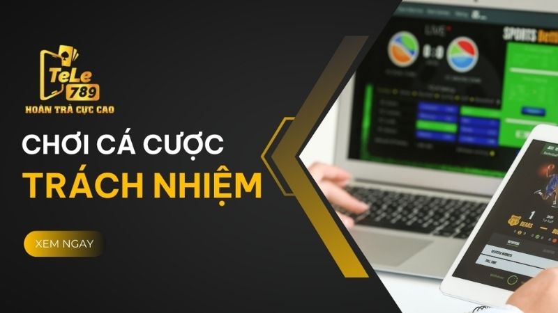 Tổng quan chính sách miễn trừ trách nhiệm của nhà cái Tele789